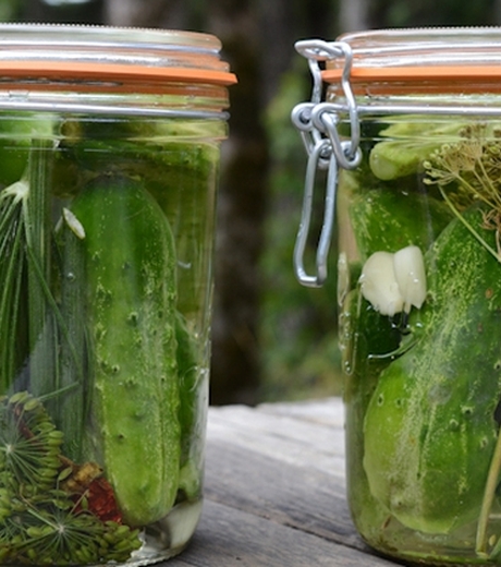 ძველი, საოჯახო რეცეპტი მაცივარში შესანახი კიტრის მწნილისათვის, რომელსაც არ სჭირდება დაკონსერვება.